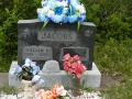 Jacobs William H