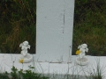 DSCF2818