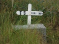 DSCF2831