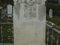 DSCF2851