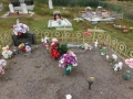 DSCF2861