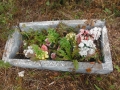 DSCF2867
