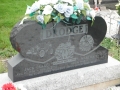 DSCF3133
