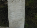 DSCF2805