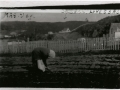 Mrs. Vey_Garden_Long Beach