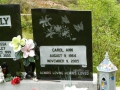 Avery Carol Ann