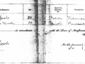 Marriage Certificate for David Jacobs and Alice Martin, Little Heart's Ease.