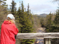 1_View-from-trussel-towards-Clarenville