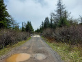 Eastbound-Trussel-approaching-Northern-Bight-Station