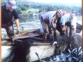 l-r Azariah King, Clarence King, and Ralph Drodge hauling codtrap off Hatchet Cove. (Photo donated by Clarence King)