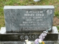 Queen's Cove ANGLICAN Cemetery 009