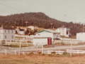 2_Queens-Cove-Jeff-Spurrell