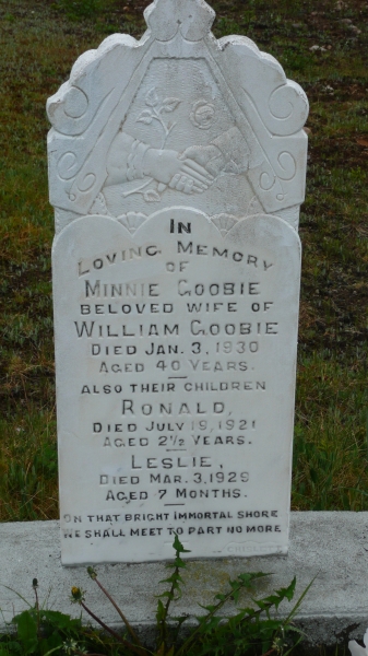 Queen's Cove Anglican Cemetery SWAHS 015