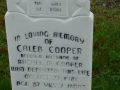 Queen's Cove Anglican Cemetery SWAHS 009