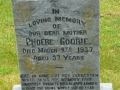 Queen's Cove Anglican Cemetery SWAHS 024
