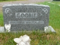Queen's Cove Anglican Cemetery SWAHS 036