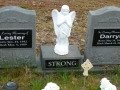Queen's Cove Anglican Cemetery SWAHS 067