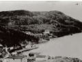 View of Stanley's Cove with Christmas Seal at Pitcher's Wharf