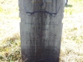 Martin Louisa