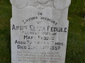 102 - Copy