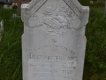 139 - Copy
