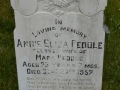 245 - Copy