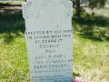 Drover George