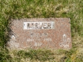 Drover William