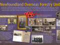 3-Newfoundland-Overseas-Forestry-Unit