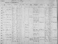 (33) 1901