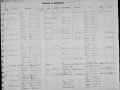 record-image (7)
