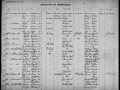 record-image (11)