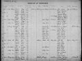 record-image (6)