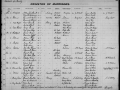 record-image (23)