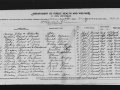 record-image 1