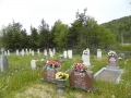 3 overview
