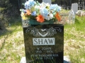 Shaw W John