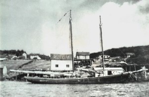 Dorothy Beryl, owned by Allan Tucker of St. Jones' Within