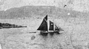 Exotic in Hodge's Cove