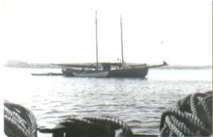 Mary-Hayden-owned-by-Edward-Spurrell-Butter-Cove.-Photo_Olive-Greens-Collection