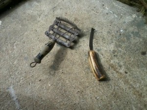 Horse brush and hoof cleaning tool
