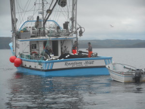 Random Mist heading to Southport to offload caplin at the end of a succesful voyage
