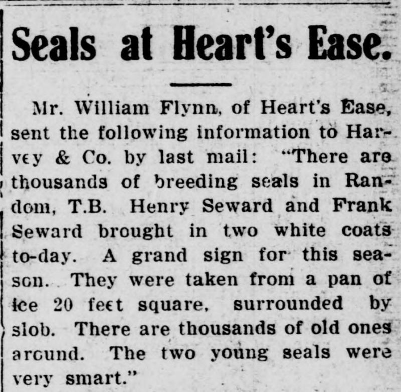 The Evening Telegram, 1911