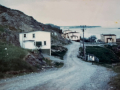 Butter-Cove-1966-Elaine-Spurrell