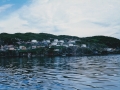Butter Cove c1965