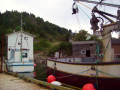 Butter-Cove-cred-Melanie-Grandy-c2008-2