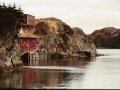 ButterCove_3_WayneButt