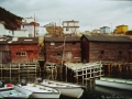 Butter_Cove_2_WayneButt