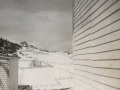 Island-Cove-on-hill-AnnieSmith