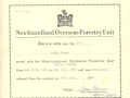 Henry-Green-NOFU-Contract-Peiod-2